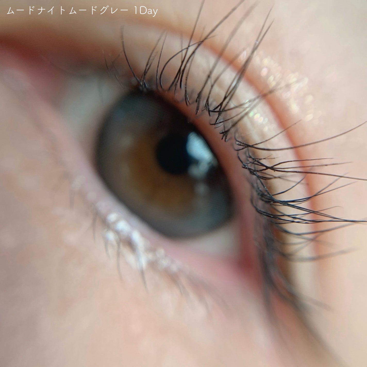 Moodnight 1day/OLENS/カラーコンタクトレンズを使ったクチコミ(4枚目)