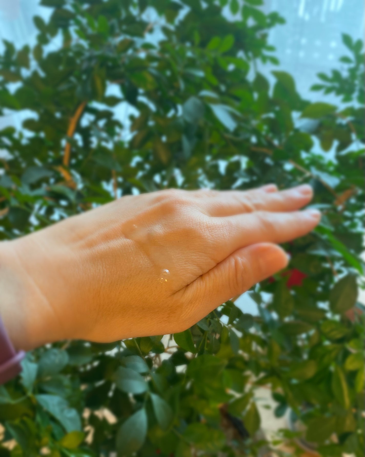 PDRNグロウセラム4.0ポンプ/Abib /美容液を使ったクチコミ(3枚目)