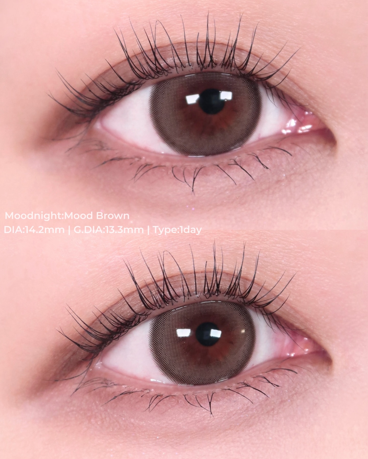 Moodnight 1Month/OLENS/カラーコンタクトレンズを使ったクチコミ（3枚目）
