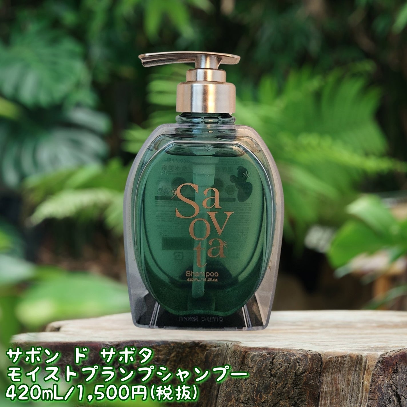 サボンドサボタ モイストプランプシャンプー/ヘアトリートメント/Savon du Savota/シャンプー・コンディショナーを使ったクチコミ(2枚目)