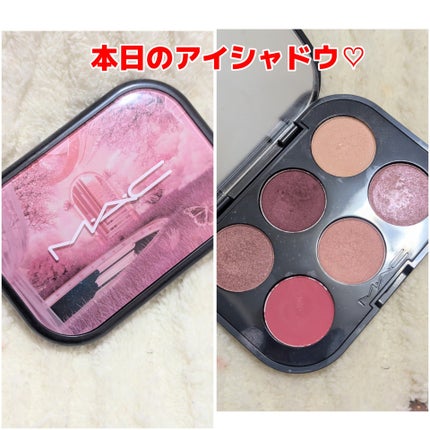 コネクト イン カラー アイシャドウ パレット × 6/M・A・C/アイシャドウパレットを使ったクチコミ(1枚目)