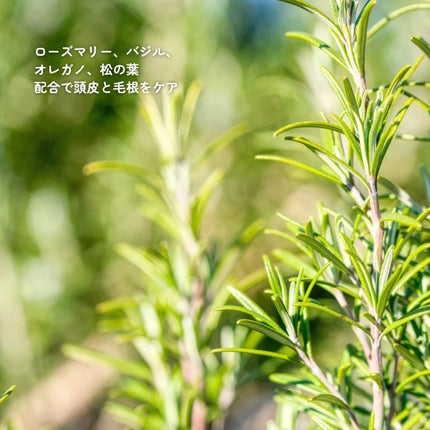 ローズマリー スカルプ スクラブ/AROMATICA/ヘッドスクラブを使ったクチコミ(5枚目)