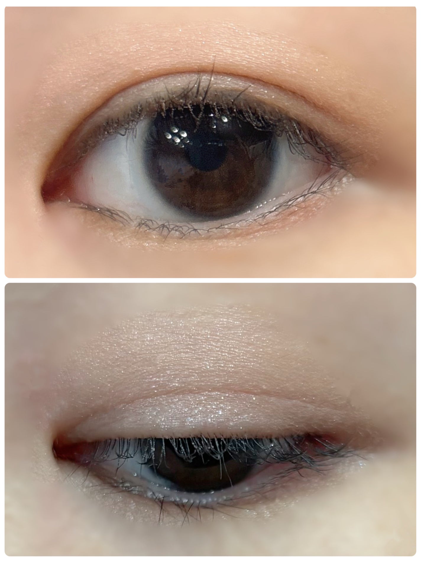 デイジードール アイ ドロー シャドウ/DAISY DOLL by MARY QUANT/アイシャドウパレットを使ったクチコミ(2枚目)