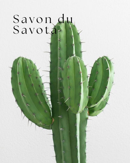 サボンドサボタ モイストプランプシャンプー/ヘアトリートメント/Savon du Savota/シャンプー・コンディショナーを使ったクチコミ(1枚目)