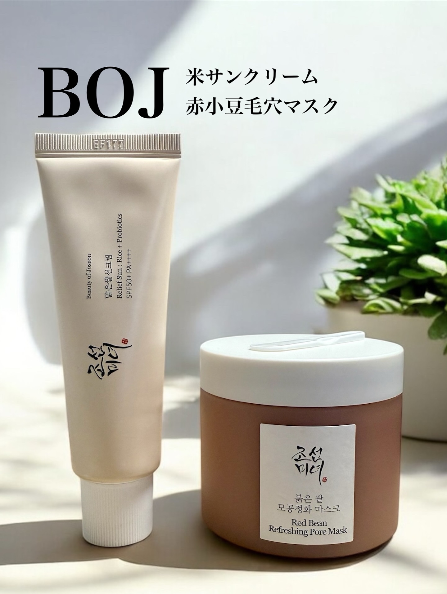 赤小豆毛穴浄化マスク/Beauty of Joseon/その他洗顔料を使ったクチコミ（1枚目）
