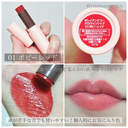 キレイアンドコー グロウインリップ/Kirei&co./口紅を使ったクチコミ(4枚目)