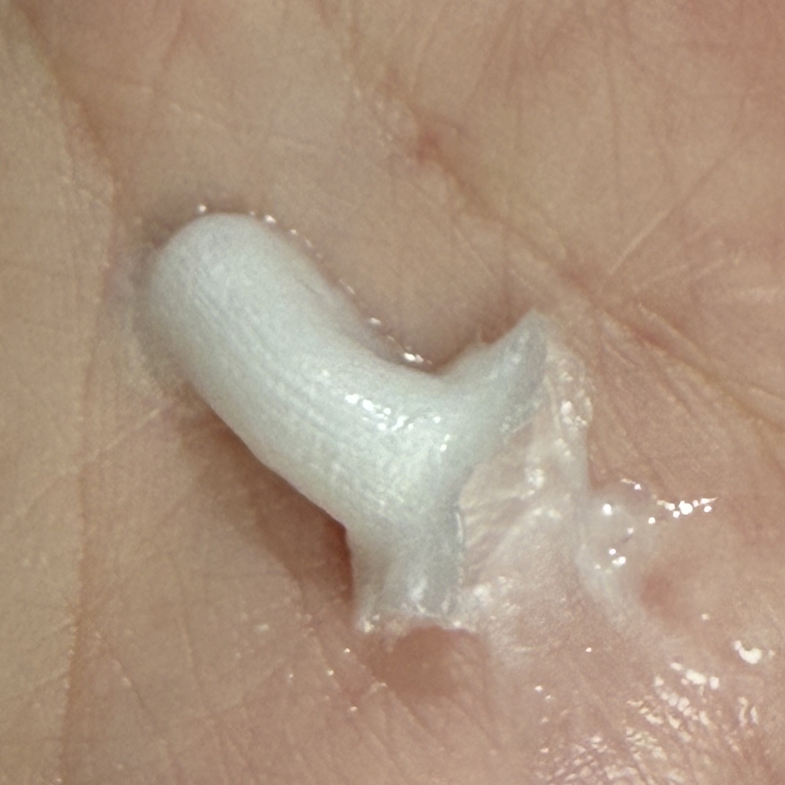 クリーミィウォッシュ/アンテリージェEX/洗顔フォームを使ったクチコミ（2枚目）