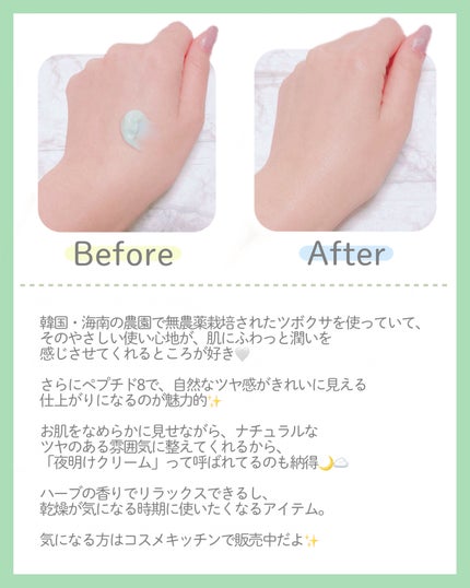 へナム404ペプタシカクリーム/TOUN28/フェイスクリームを使ったクチコミ(3枚目)