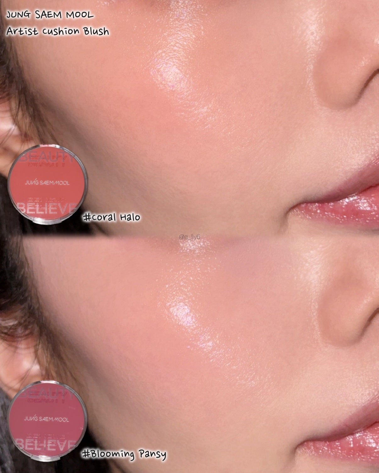 アーティストクッションブラッシュ/JUNG SAEM MOOL/リキッドチークを使ったクチコミ(3枚目)