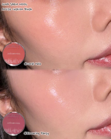 アーティストクッションブラッシュ/JUNG SAEM MOOL/リキッドチークを使ったクチコミ(3枚目)