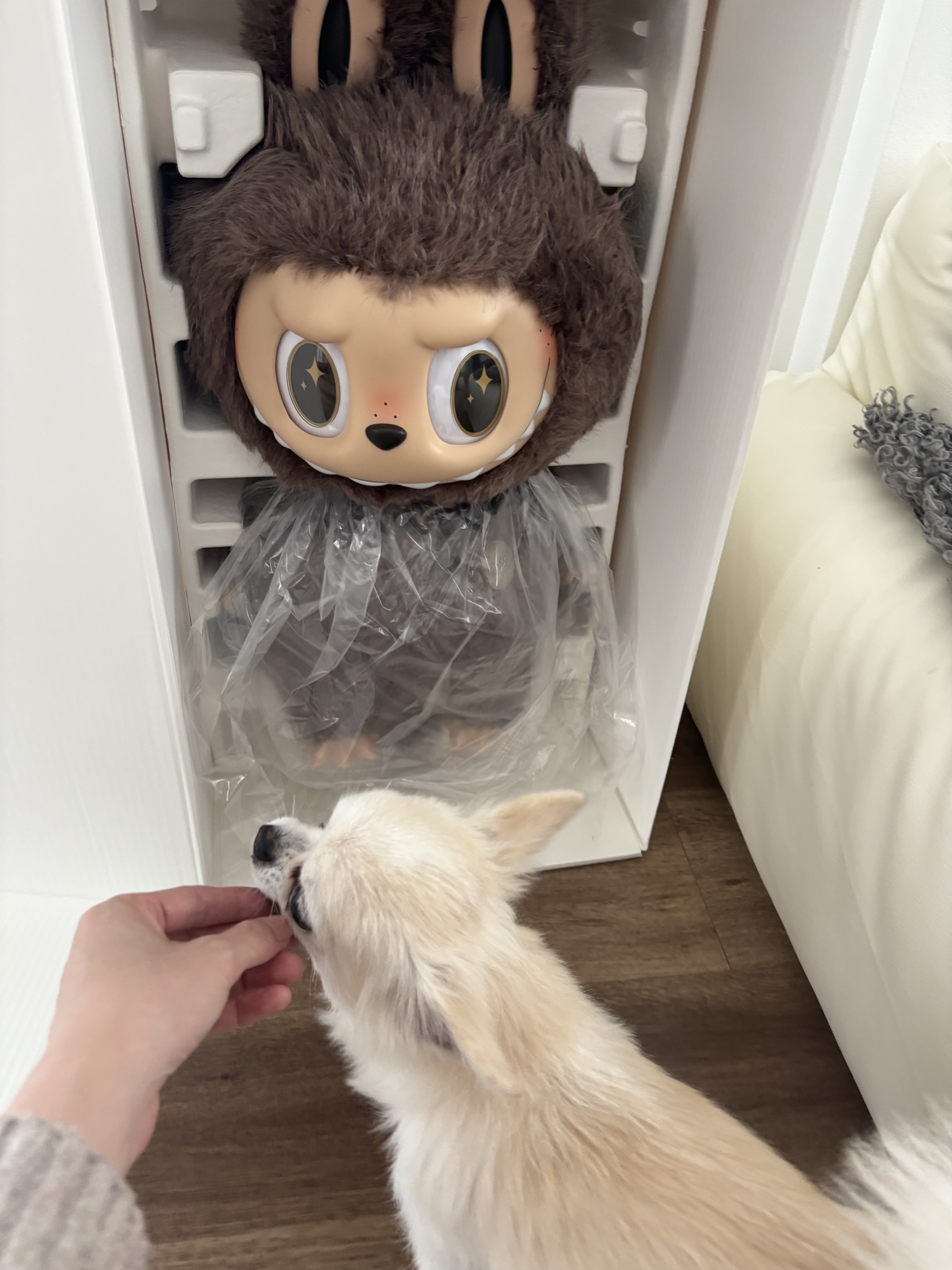 THE MONSTERS I FOUND YOU/POP MART/その他を使ったクチコミ（2枚目）