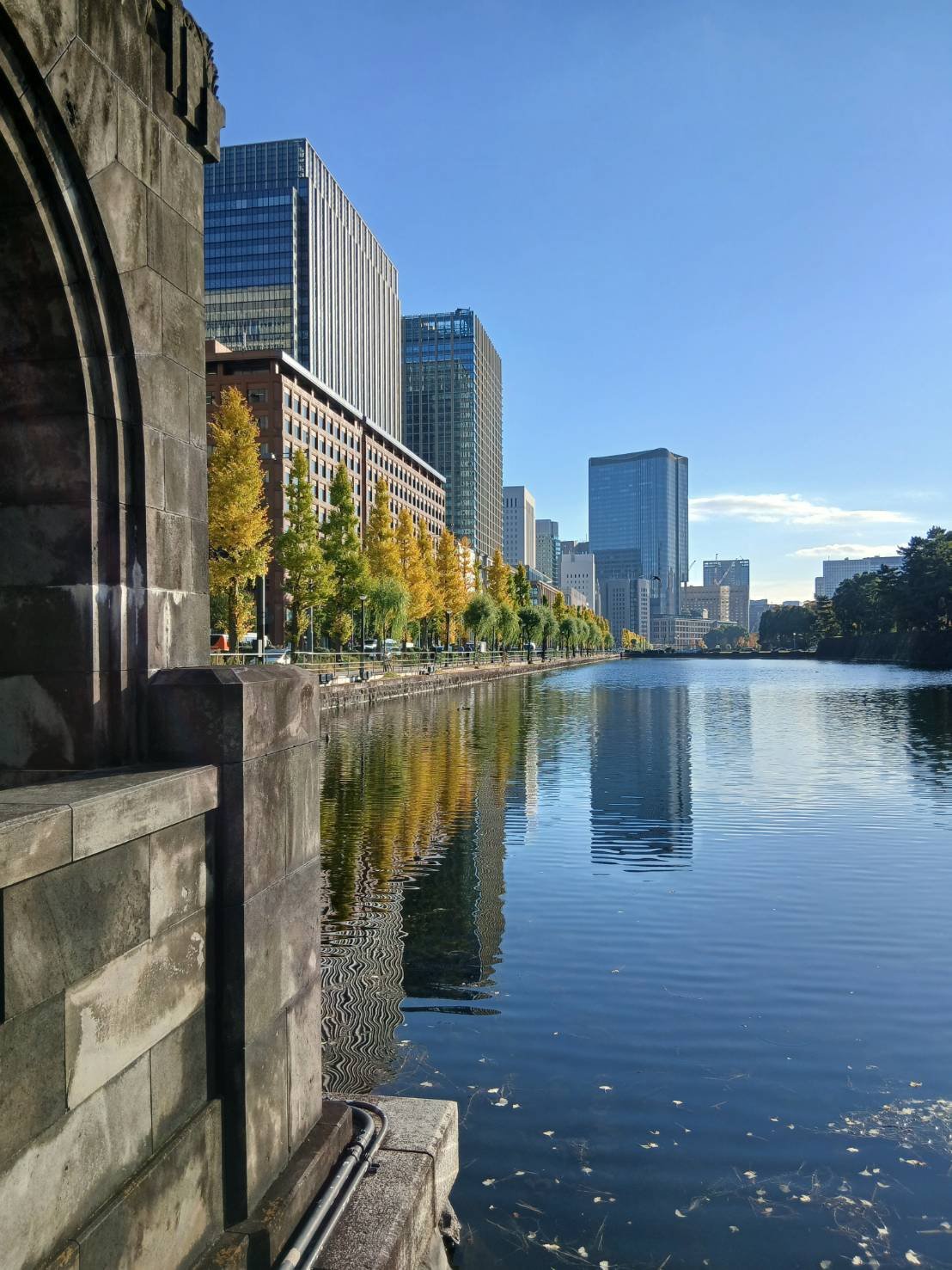 ヴィタ ドレーブ/DECORTÉ/ブースター・導入液を使ったクチコミ（2枚目）