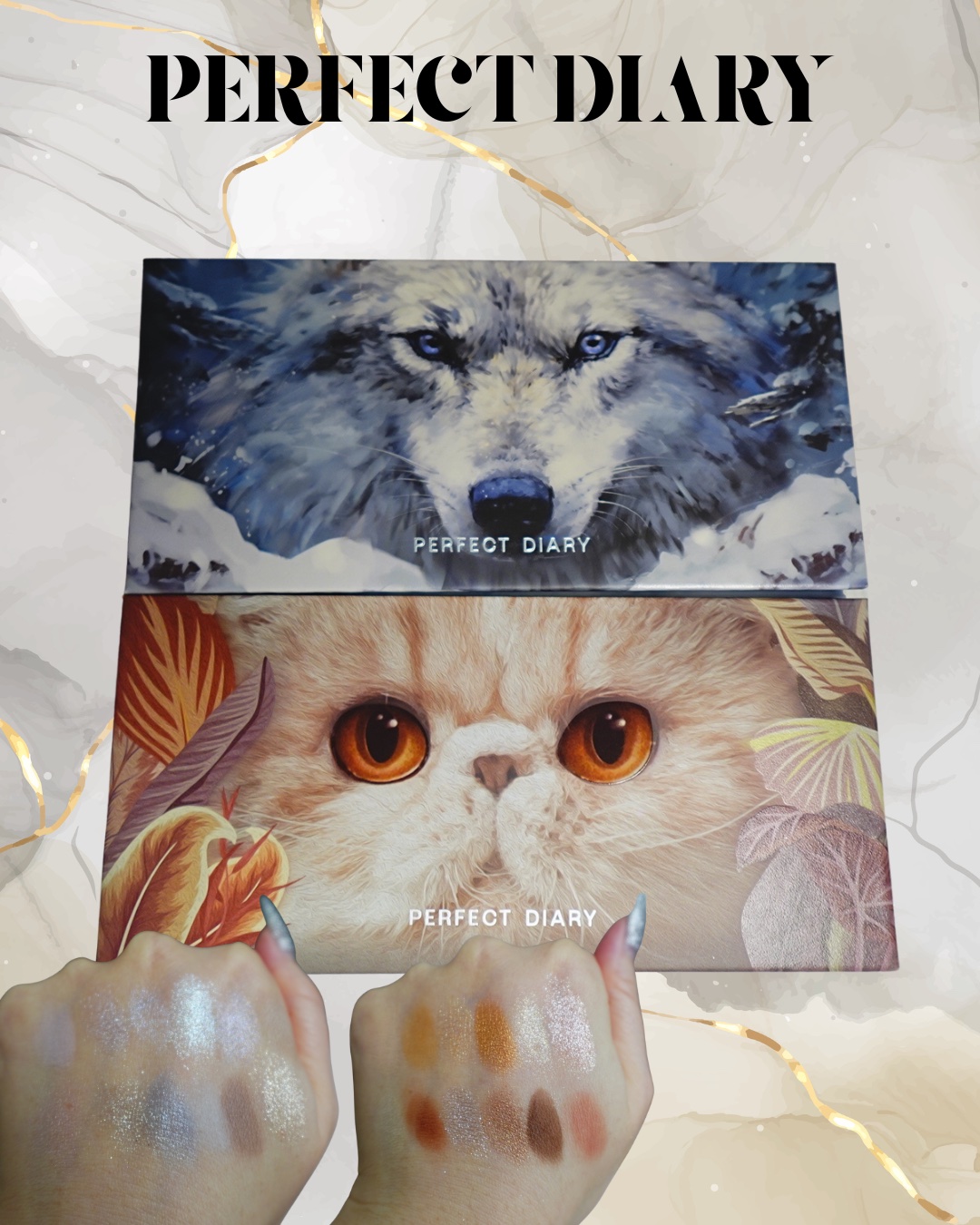 エクスプローラ12色 動物アイシャドウパレット/PERFECT DIARY/アイシャドウパレットを使ったクチコミ（1枚目）