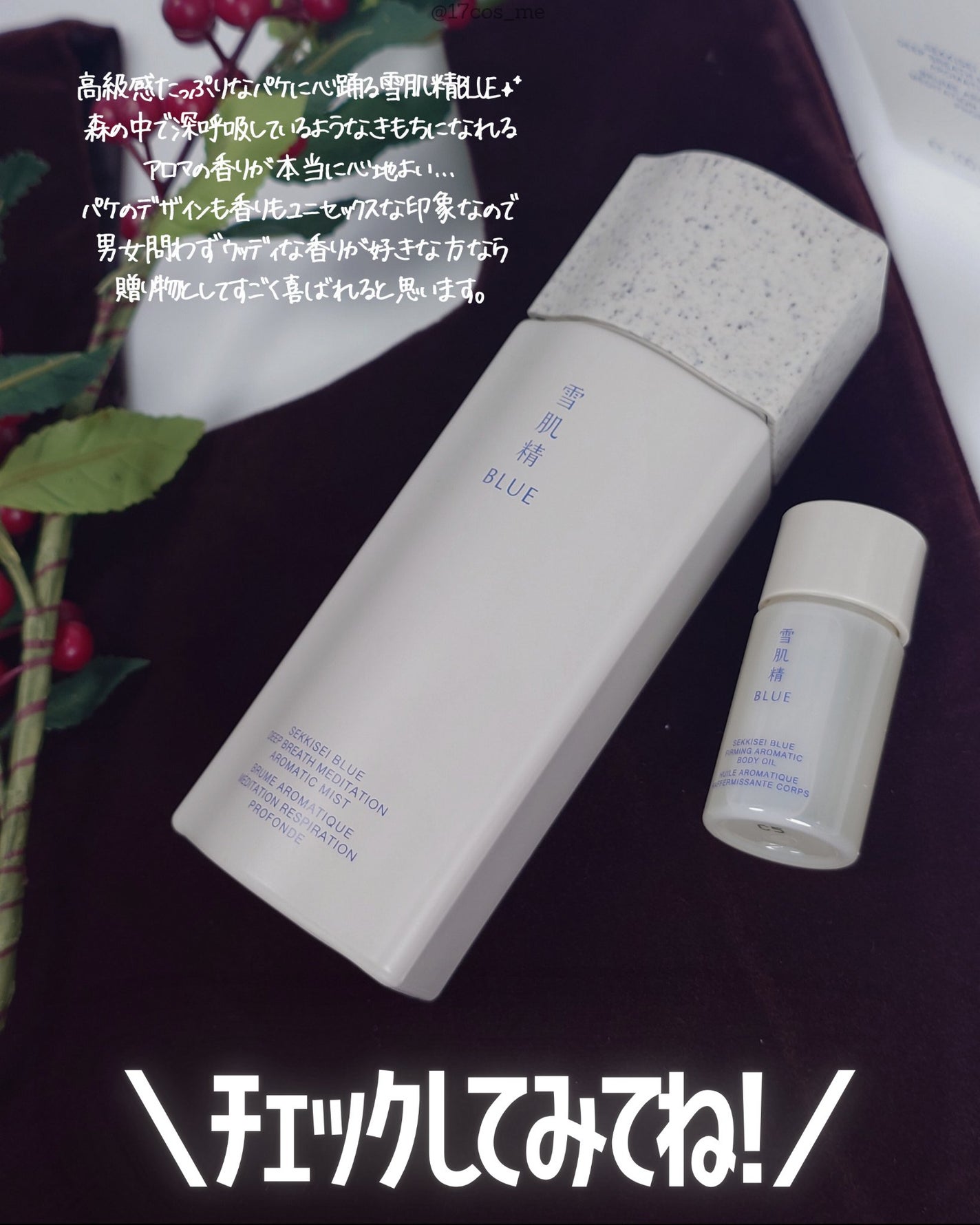 雪肌精 BLUE ディープブレス メディテーション アロマ ミスト リミテッドキット/雪肌精/スキンケアキットを使ったクチコミ(6枚目)