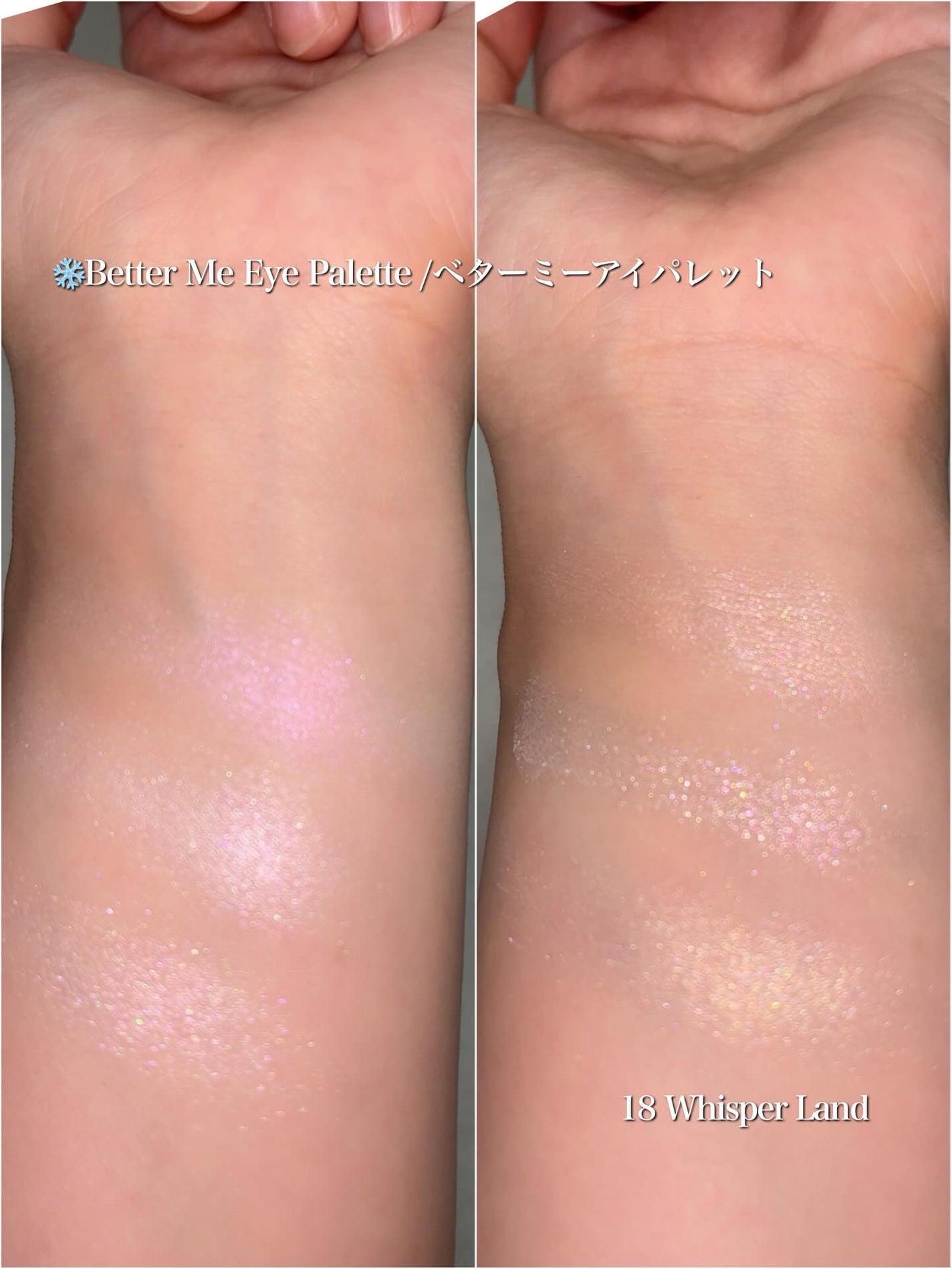 ベターミーアイパレット/2aN/マルチパレットを使ったクチコミ(5枚目)