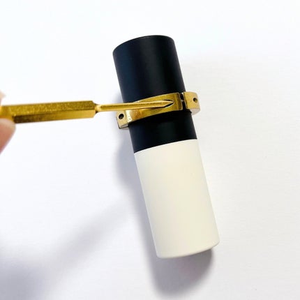 ザ リップ ネオ アニマ/アーレス/口紅を使ったクチコミ(4枚目)