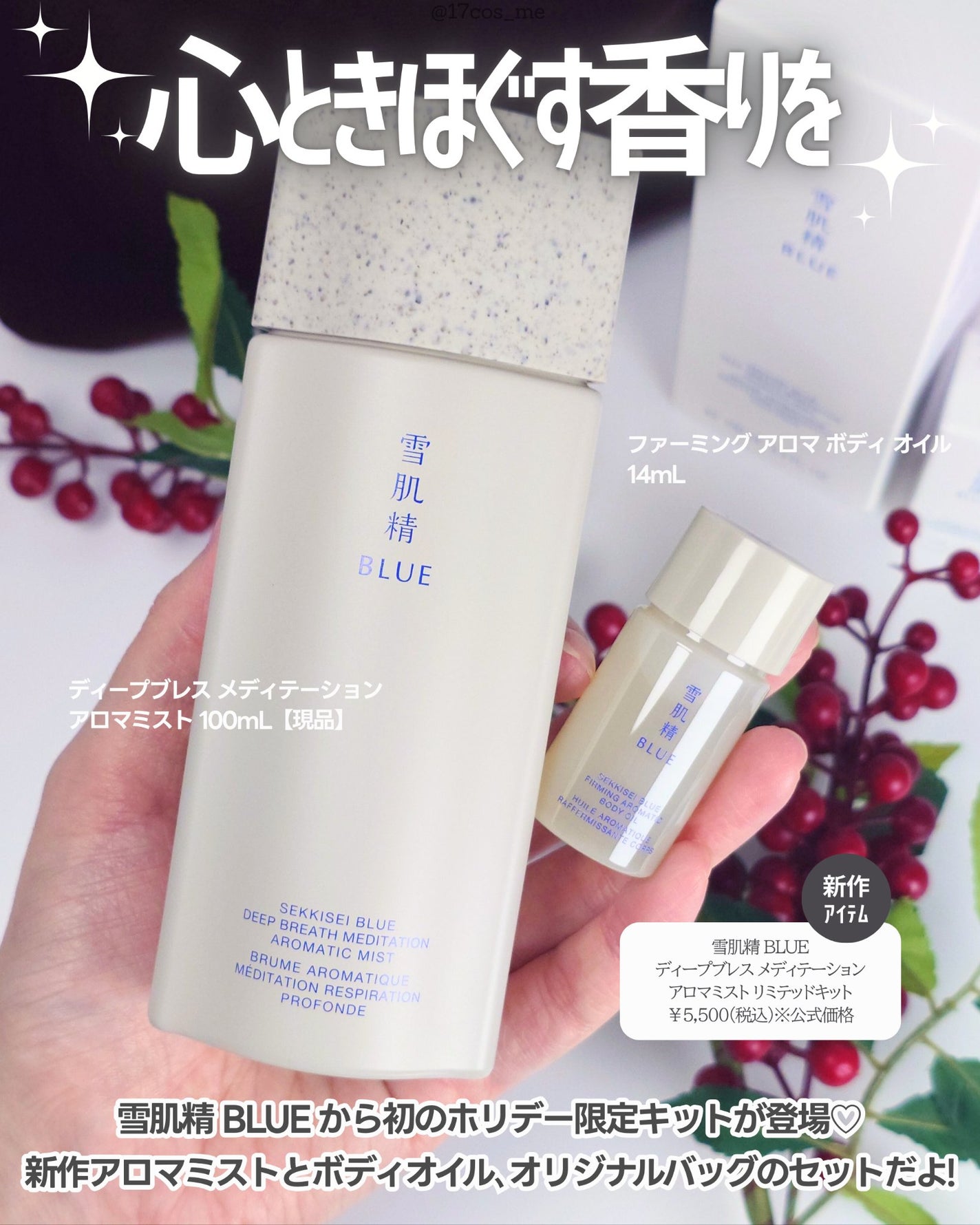 雪肌精 BLUE ディープブレス メディテーション アロマ ミスト リミテッドキット/雪肌精/スキンケアキットを使ったクチコミ(2枚目)