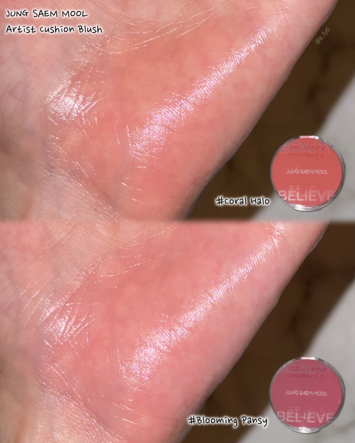 アーティストクッションブラッシュ/JUNG SAEM MOOL/リキッドチークを使ったクチコミ（2枚目）