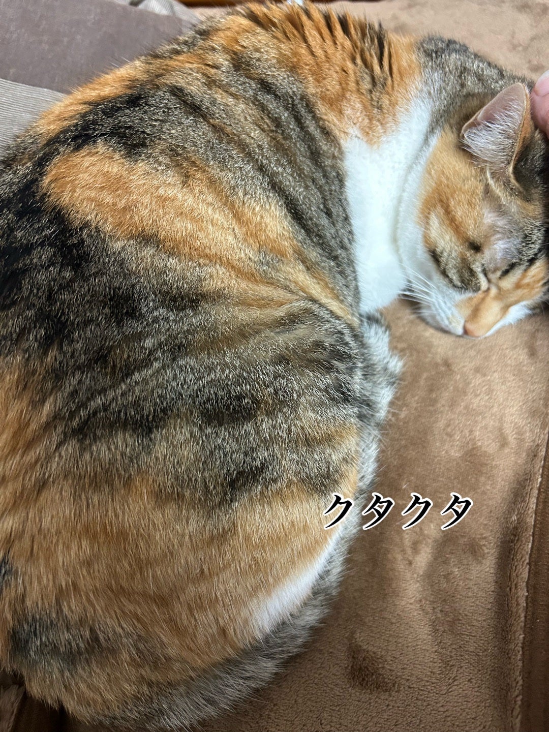 スチール爪切り/無印良品/ネイル用品を使ったクチコミ(4枚目)