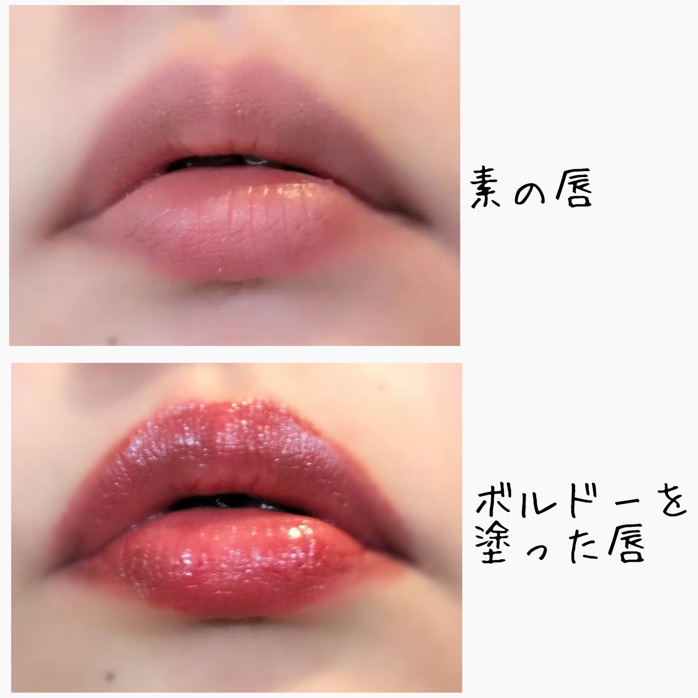 DHC リップクリーム/DHC/リップクリームを使ったクチコミ(5枚目)