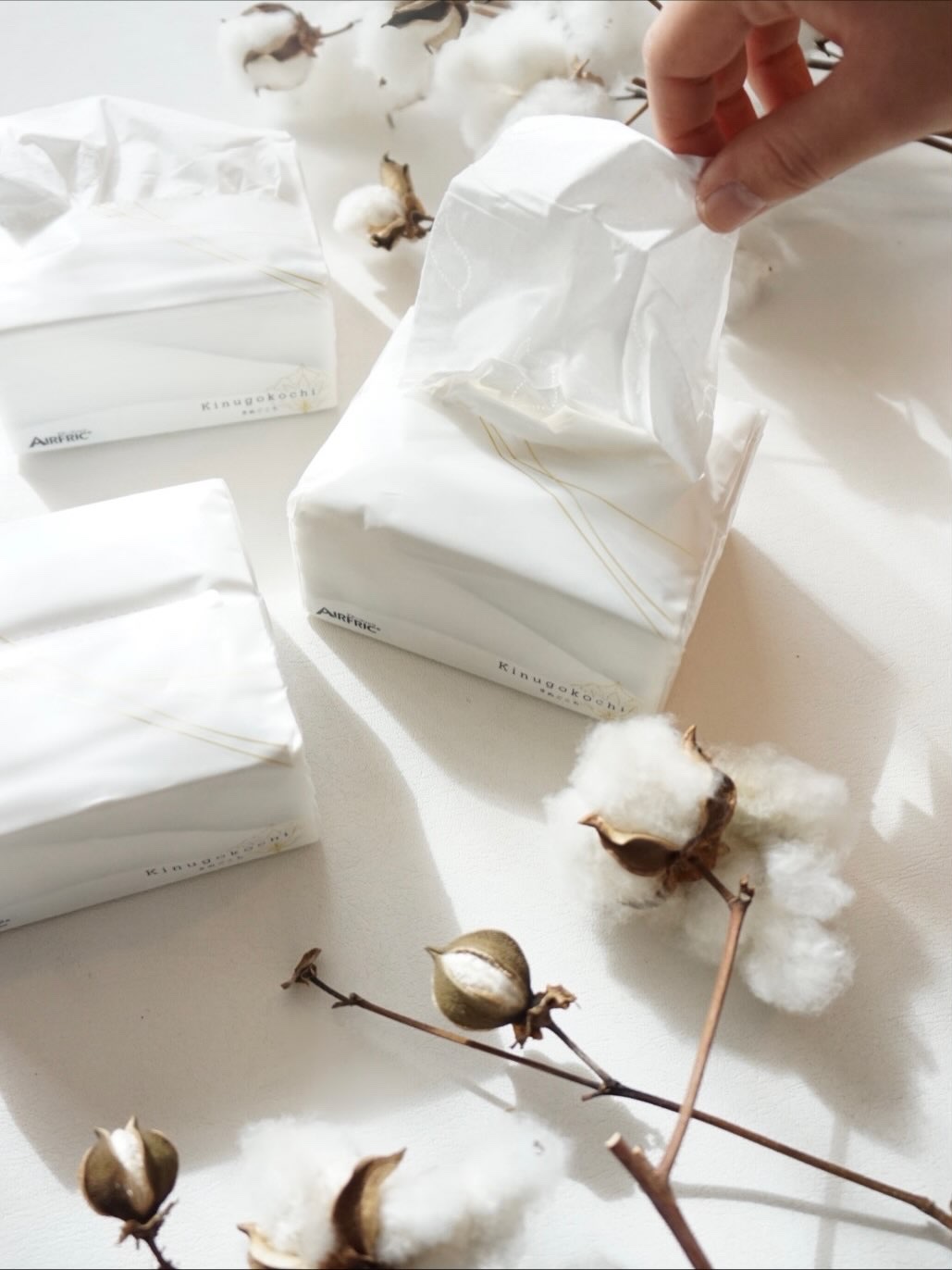 kinugocochi きぬごこち/AIRFRIC/ティッシュを使ったクチコミ（1枚目）