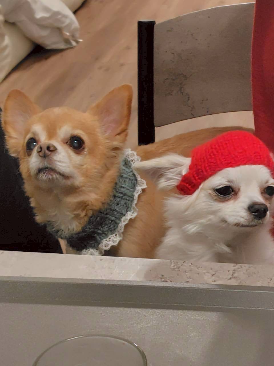 スリーサムデザイニングアイカラー/& WOLF/アイシャドウパレットを使ったクチコミ(5枚目)