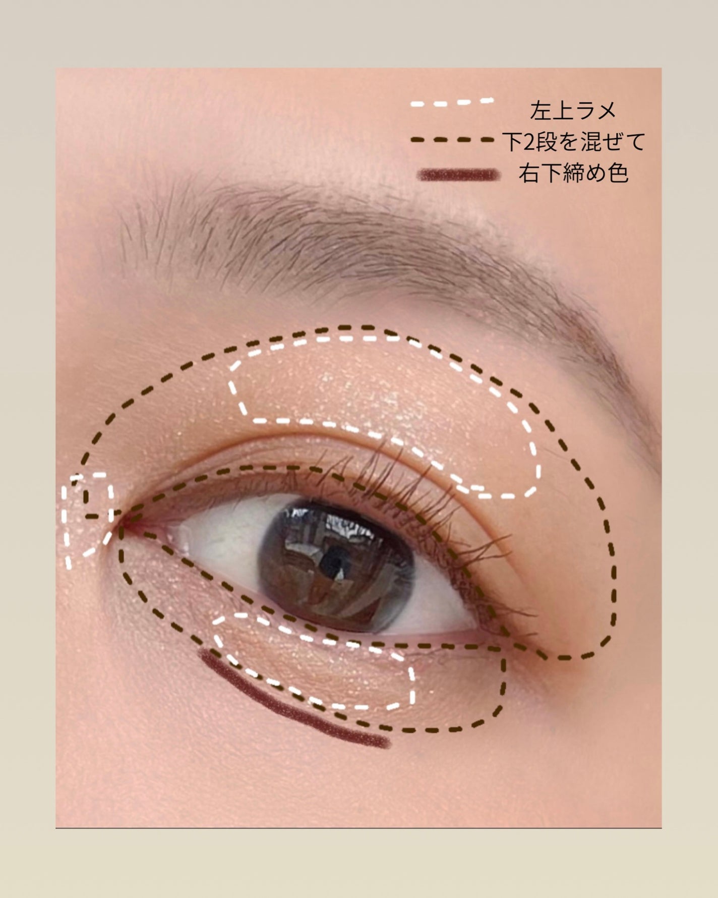 ルナソル アイカラーレーションN/LUNASOL/アイシャドウパレットを使ったクチコミ(3枚目)