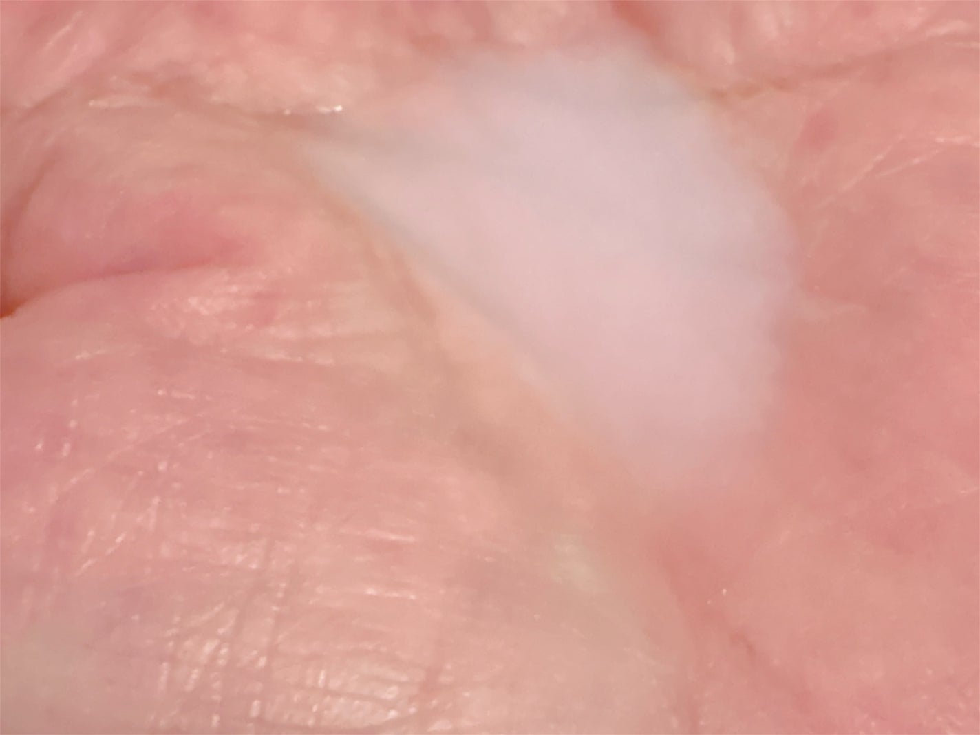 毛穴収縮トナー 53.7 ライスルフティ /ODELOI オドロイ/化粧水を使ったクチコミ(4枚目)