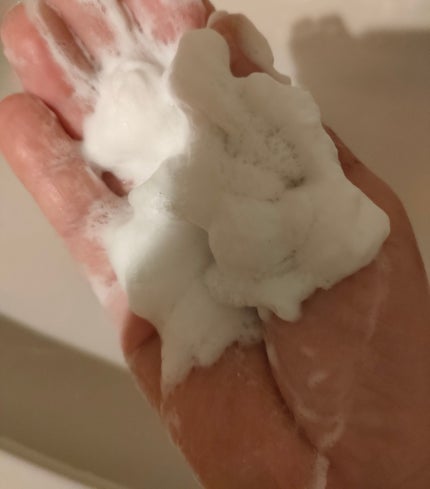 を使ったクチコミ(2枚目)