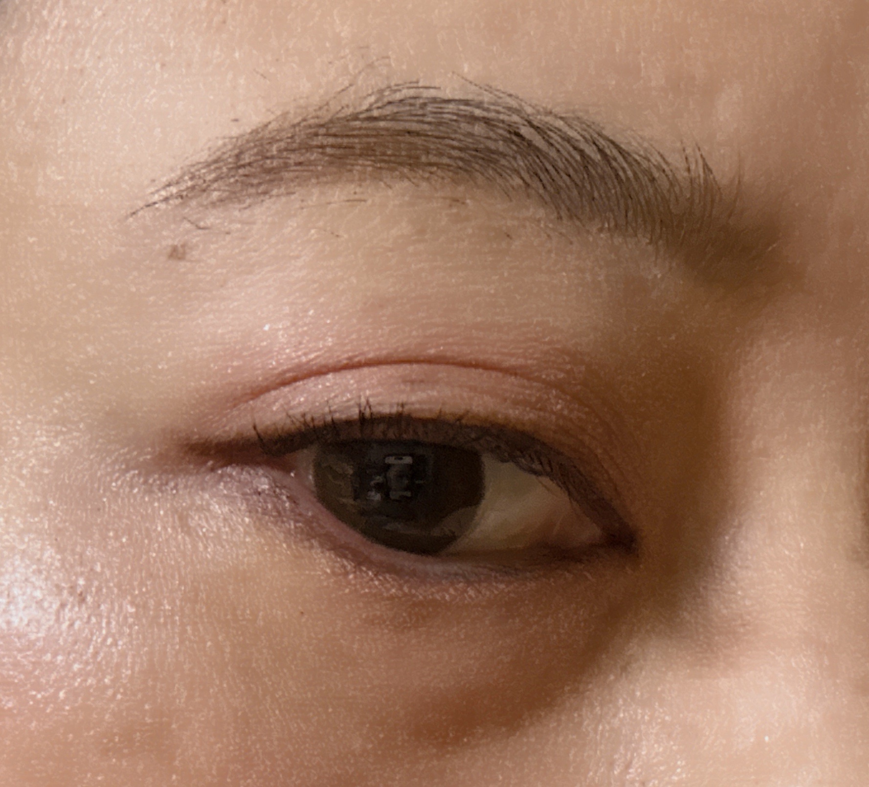 シャドーカスタマイズ/MAJOLICA MAJORCA/単色アイシャドウを使ったクチコミ（3枚目）