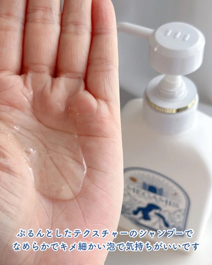 MEGAMIS ヘアセラム/MEGAMIS/洗い流すヘアトリートメントを使ったクチコミ(3枚目)