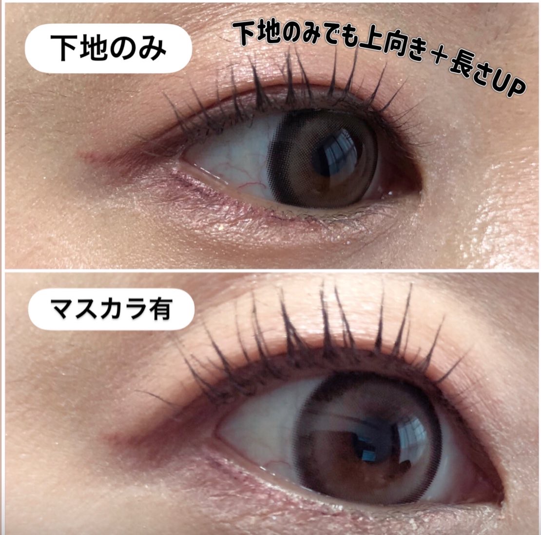 マジョリカ マジョルカ ラッシュシルエットキーパー/MAJOLICA MAJORCA/マスカラ下地を使ったクチコミ（2枚目）