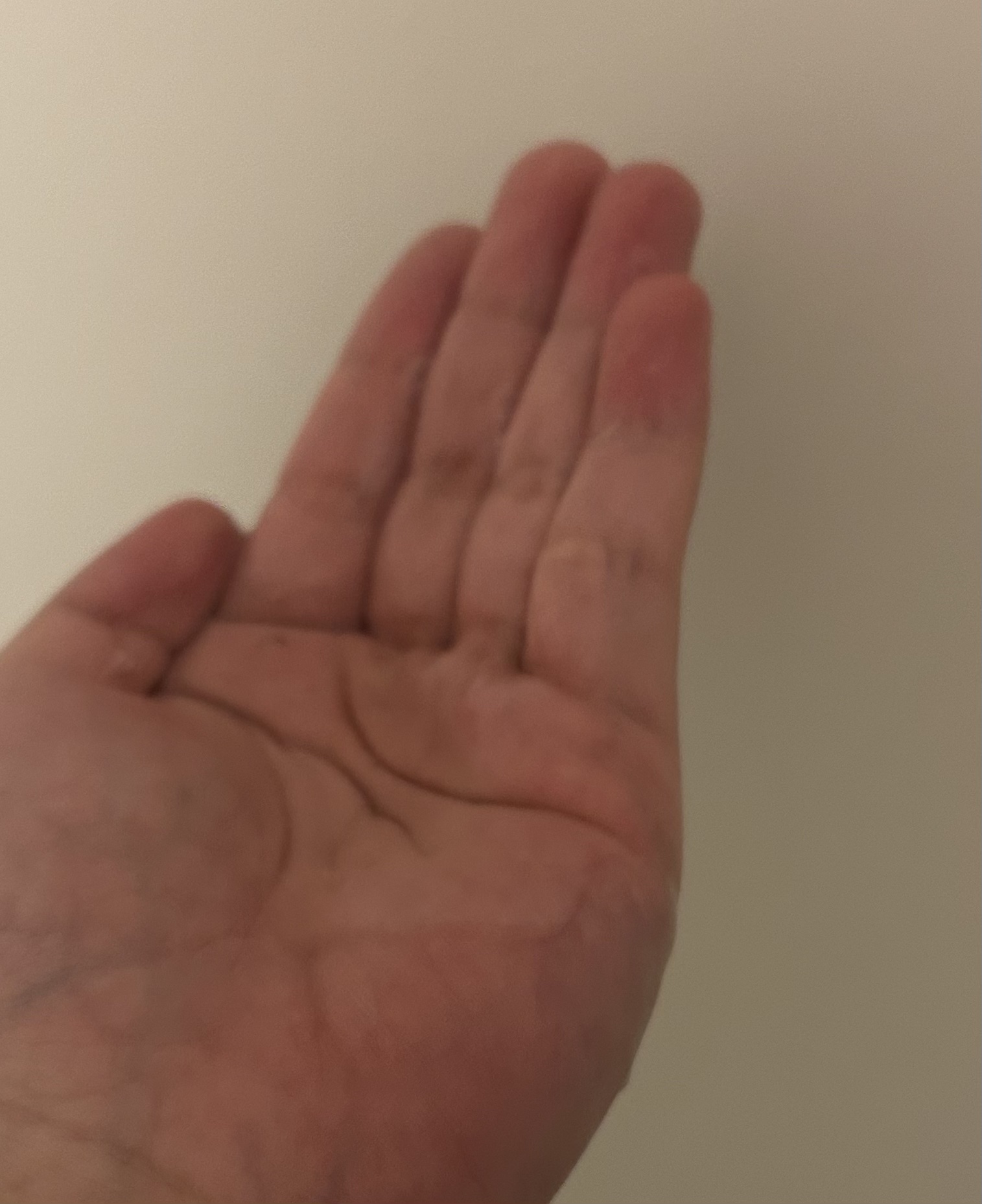 エアリー&イージー メルティリペア シャンプー/トリートメント/エアリー&イージー/市販シャンプーを使ったクチコミ（2枚目）