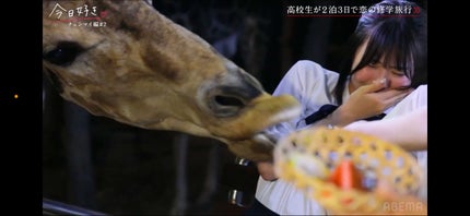 HIYO ãã©ããð¯ on LIPS ããã§ã³ãã€ç·š2話èŠãŸãããïŒïŒãããããã¿ãã¬ãªã®ã§èŠãŠãªã人..ãïŒ2æç®ïŒ