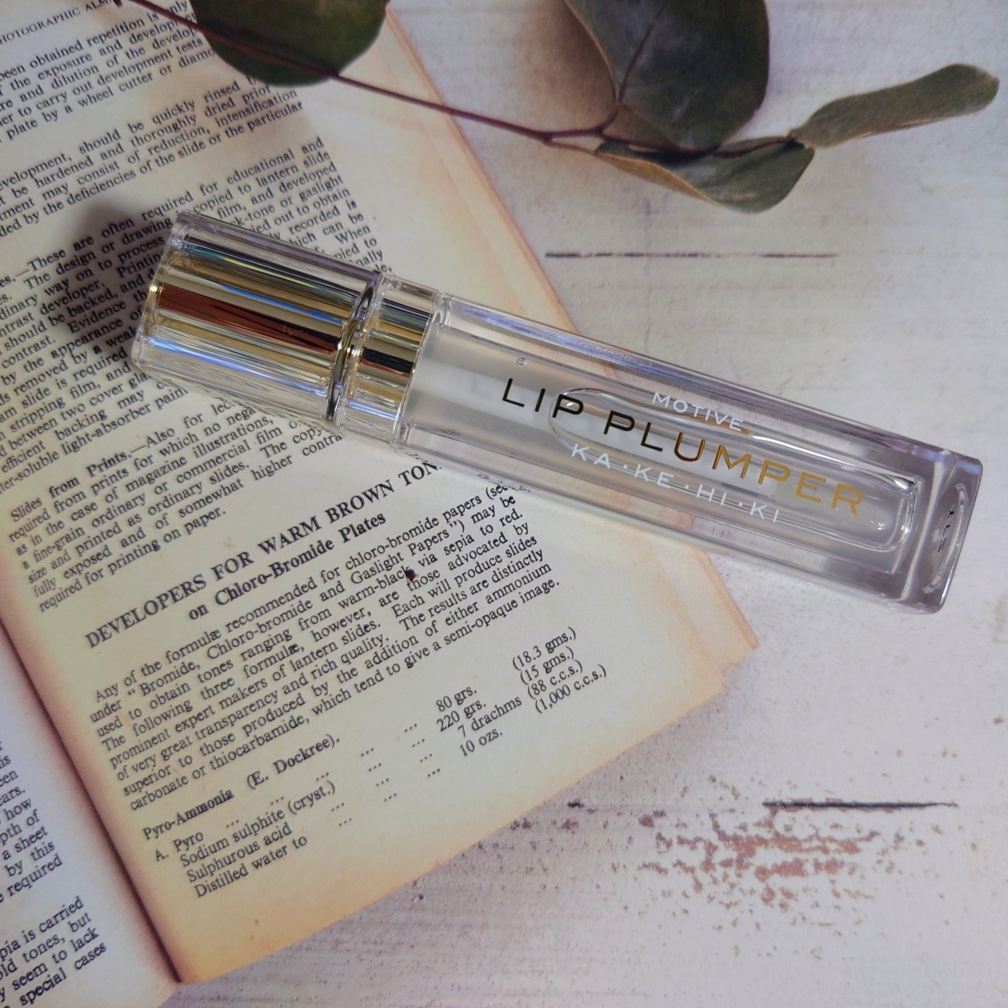 モティブリッププランパー 101 YURI/KAKEHIKI/リッププランパーを使ったクチコミ（1枚目）