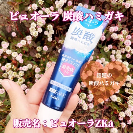 ピュオーラ 炭酸ハミガキ【医薬部外品】 95g/ピュオーラ/歯磨き粉の画像