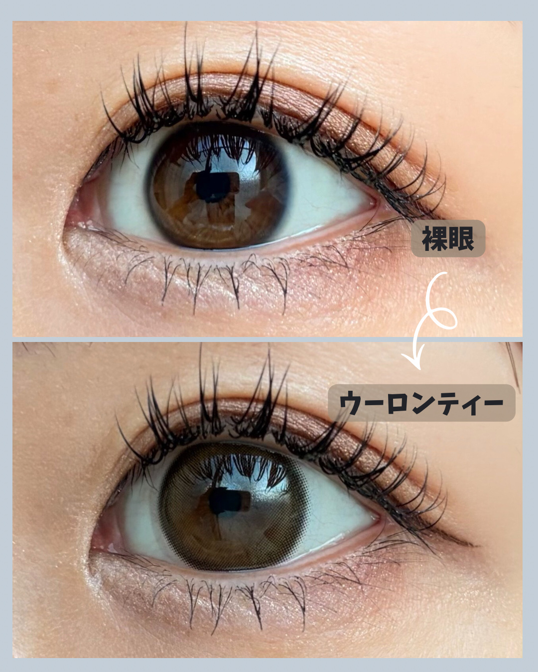 feliamo 1day/feliamo/ワンデー（１DAY）カラコンを使ったクチコミ（3枚目）