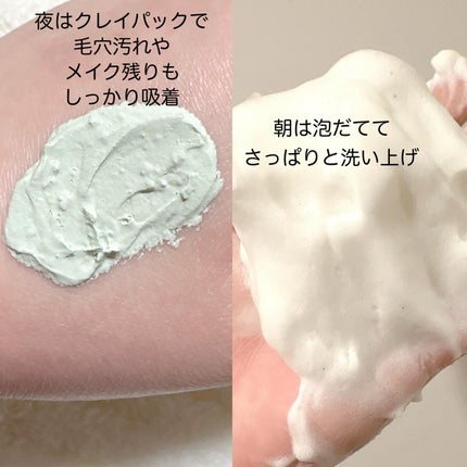 グリーントマトクレイマスククレンザー/FULLY/洗い流すパック・マスクを使ったクチコミ(3枚目)