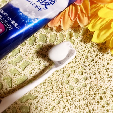 ピュオーラ 炭酸ハミガキ【医薬部外品】 95g/ピュオーラ/歯磨き粉の画像