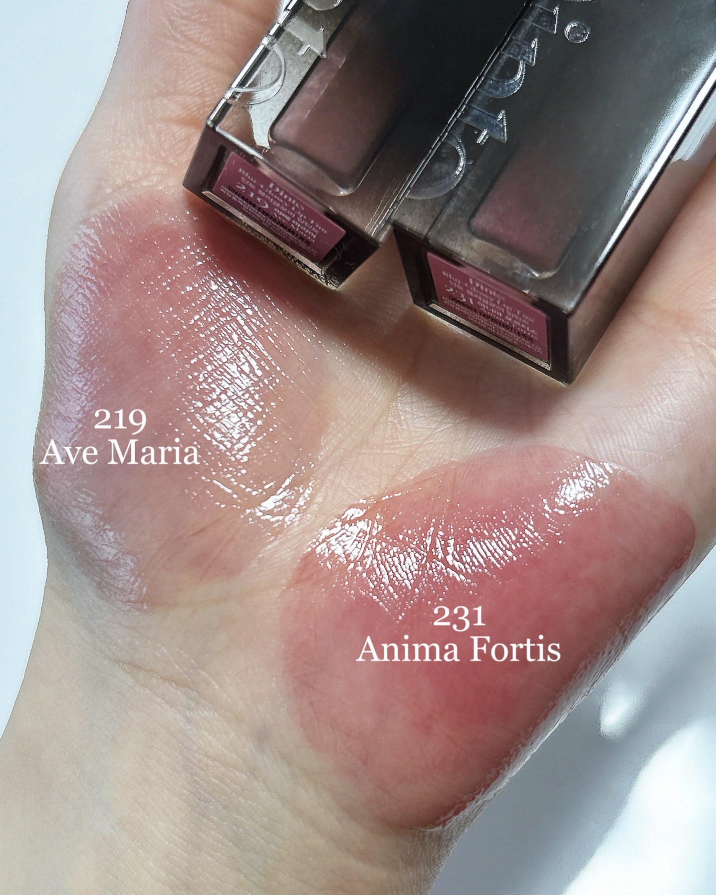 ブラーグロイリップティント 219/Dinto/リップティントを使ったクチコミ（2枚目）