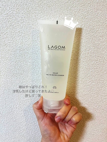 ラゴム ジェルトゥウォーター クレンザー(朝用洗顔)/LAGOM /その他洗顔料を使ったクチコミ(1枚目)