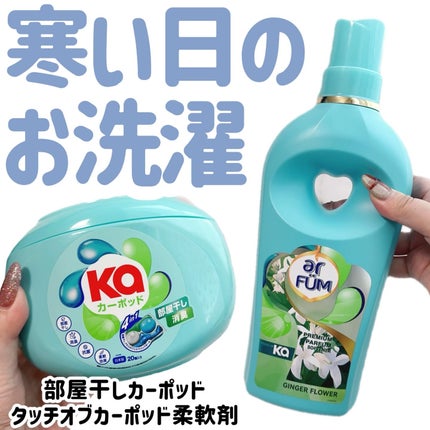 カーポッド 部屋干しEX/王子製薬/洗濯洗剤を使ったクチコミ(1枚目)