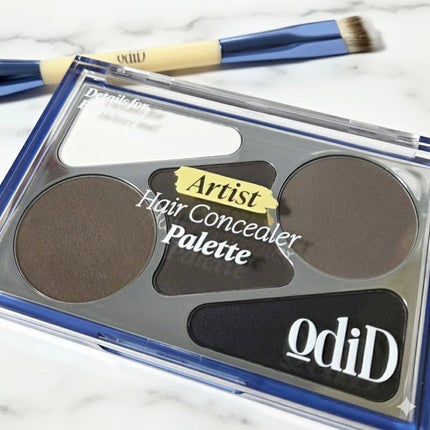 アーティストライン ヘアコンシーラーパレット/odiD/その他スタイリングを使ったクチコミ(1枚目)