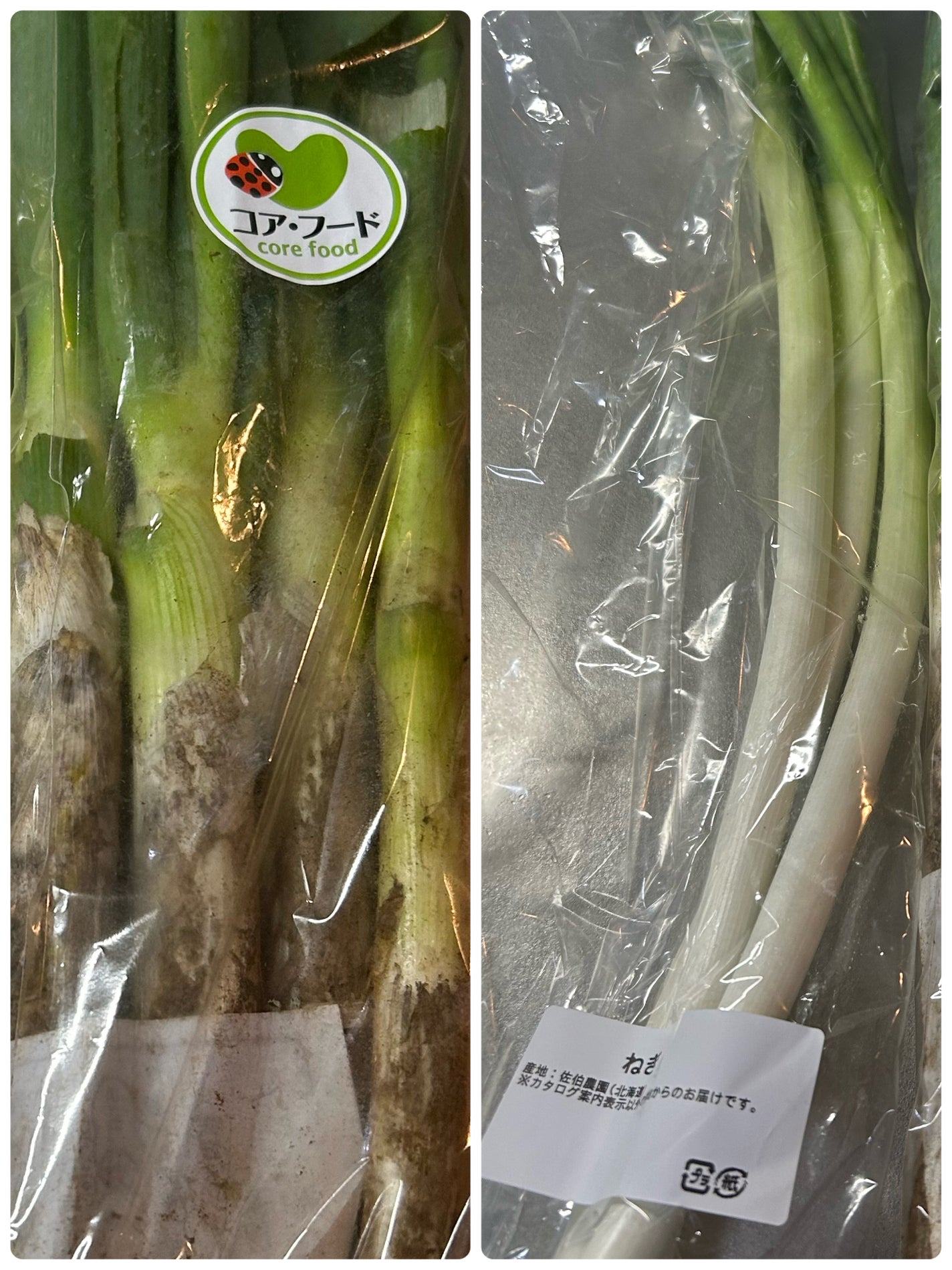 ひふみレイキ💫フォロバ♾️ on LIPS 「🍂今週の123BEAUTYCHARGE季節が冬に近づくと、身体..」(3枚目)