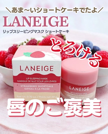 リップスリーピングマスク/LANEIGE/リップバームを使ったクチコミ(1枚目)