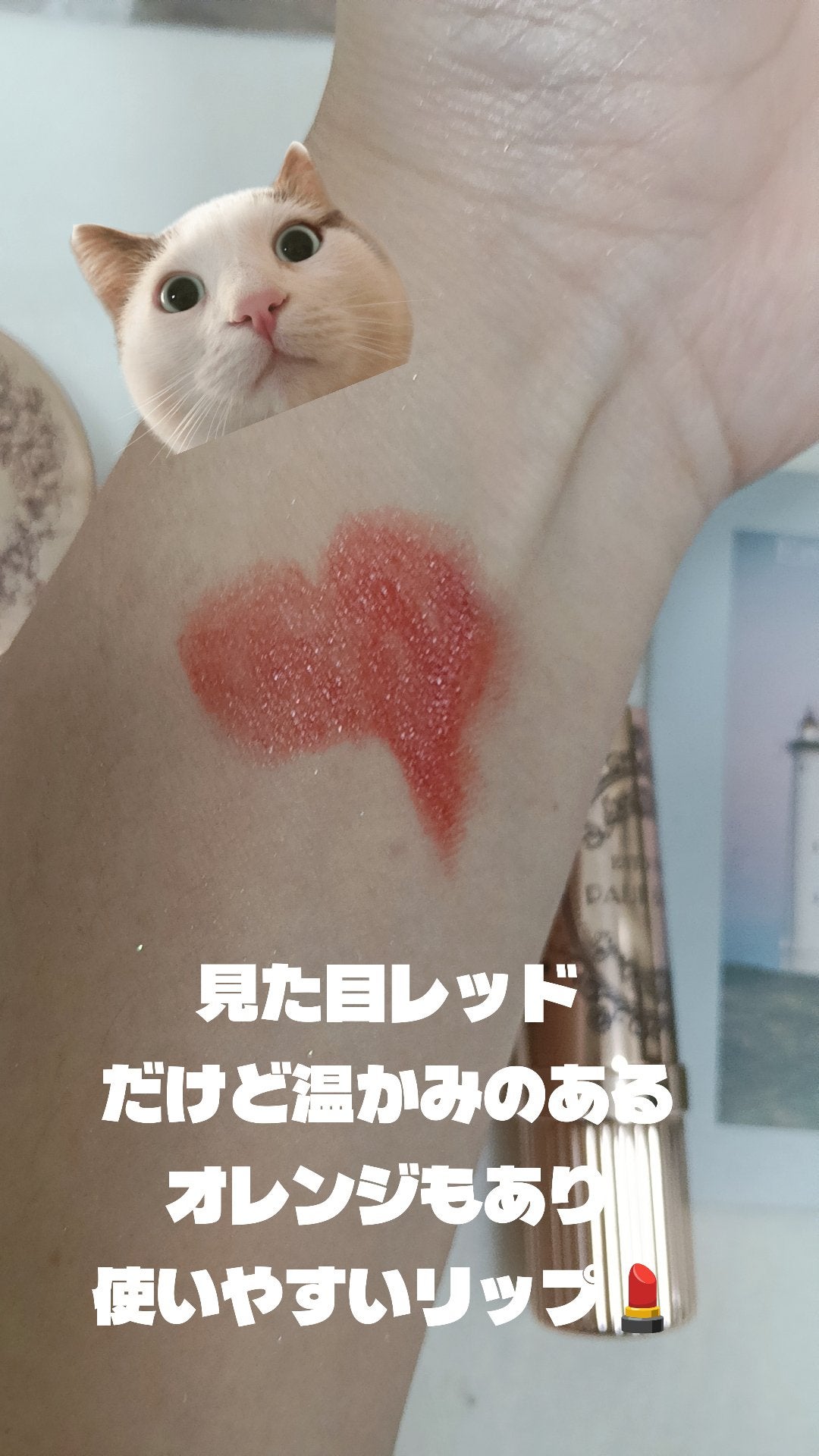 Spica on LIPS 「こんばんはスピカです。今日はクリスマスコフレ2025年初めて𝐏..」(4枚目)