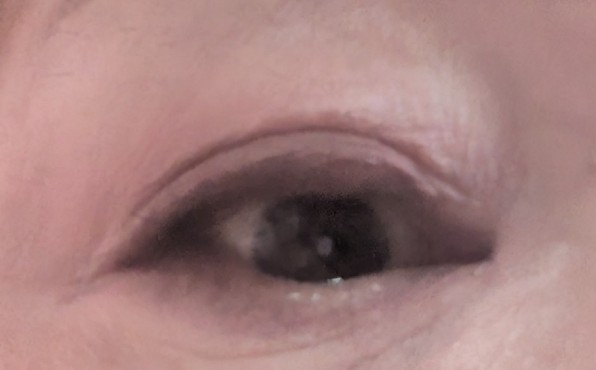 クリーミータッチライナー/キャンメイク/ジェルアイライナーを使ったクチコミ（2枚目）