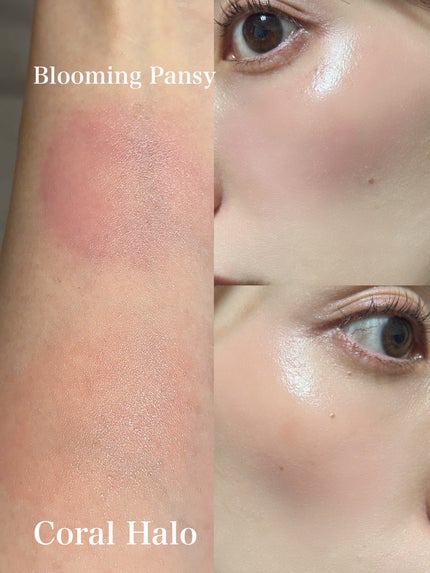 アーティストクッションブラッシュ/JUNG SAEM MOOL/リキッドチークを使ったクチコミ(2枚目)