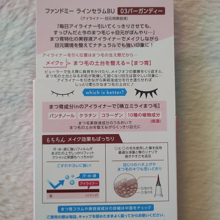 ファンドミー ラインセラム/ファンドミー/リキッドアイライナーを使ったクチコミ(2枚目)