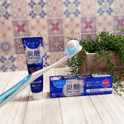 ピュオーラ ハブラシ コンパクトやわらかめ/ピュオーラ/歯ブラシの画像